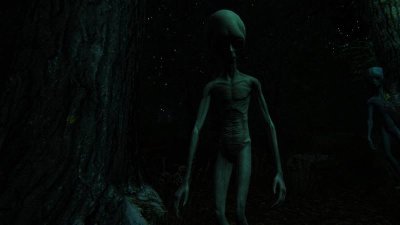 The Echo Paradox